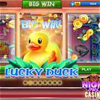 how to win on lucky duck slot machine